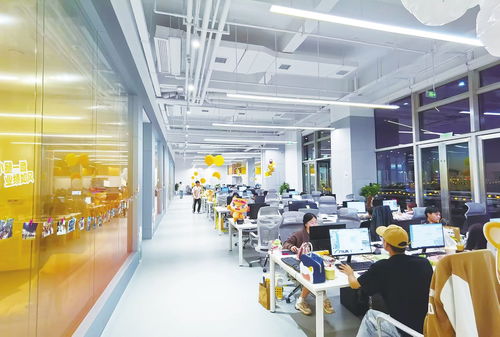 鍥而不舍 追 來(lái)10億元項(xiàng)目 皇家小虎 超級(jí)工廠 落戶新區(qū)背后的故事